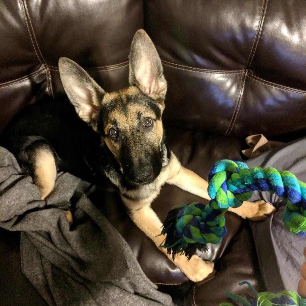 Meet your Posher, Courtney